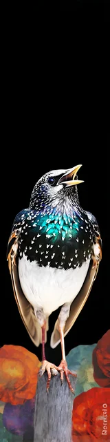 Free bird bookmark featuring a chirping bird